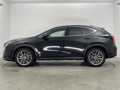 صورة مصغرة 32 لـ 2023 Lexus NX
