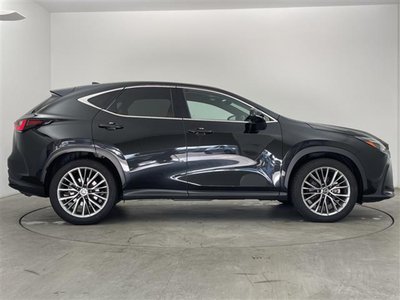 صورة مصغرة 35 لـ 2023 Lexus NX