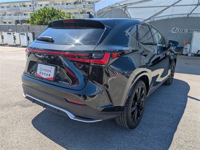 2023 Lexus NX photo 6