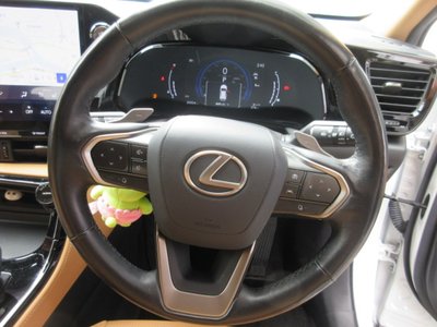 2023 Lexus NX 照片 13