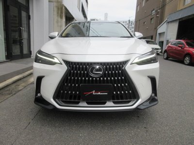 2023 Lexus NX 照片 3