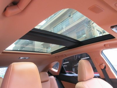 2023 Lexus NX 照片 20