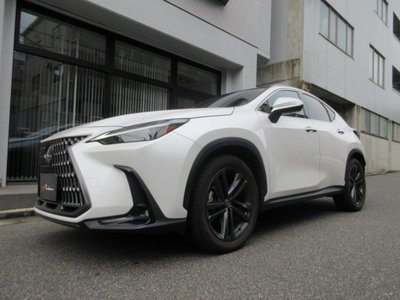 2023 Lexus NX 照片 5
