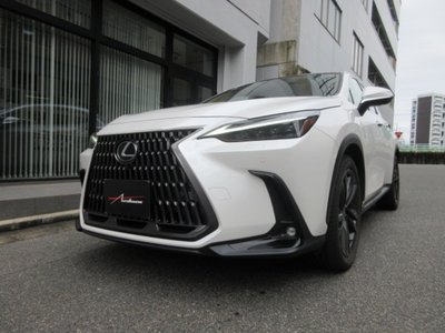 2023 Lexus NX 照片 7