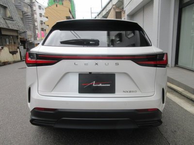 2023 Lexus NX 照片 4