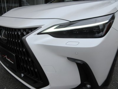 2023 Lexus NX 照片 9