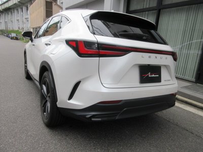 2023 Lexus NX 照片 8