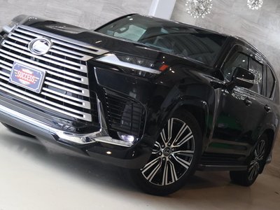 2025 Lexus LX thumbnail 48