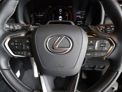 2025 Lexus LX thumbnail 30
