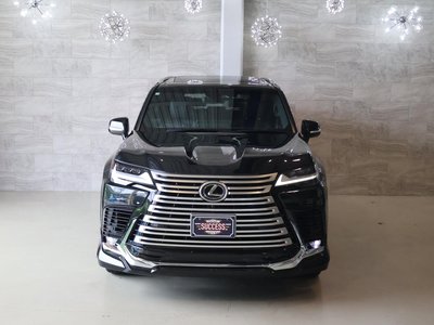 2025 Lexus LX photo 3