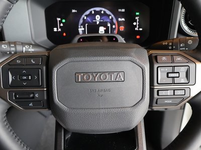 2024 Toyota LAND CRUISER 250 照片 30