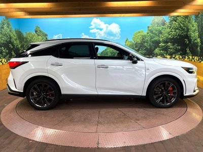 2025 Lexus RX — миниатюра 24
