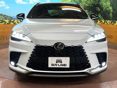 2025 Lexus RX — миниатюра 14
