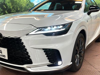 2025 Lexus RX — миниатюра 11