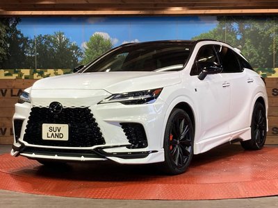 2023 Lexus RX — миниатюра 27