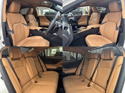 2023 Lexus ES thumbnail 21