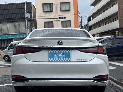 2023 Lexus ES photo 10