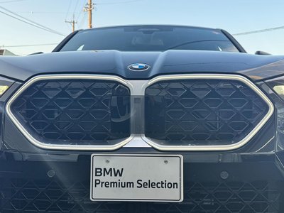 2026 BMW X2 photo 11