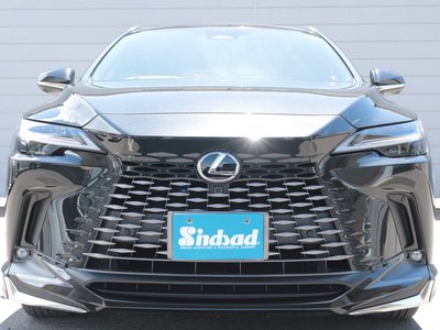 2024 Lexus RX thumbnail 22