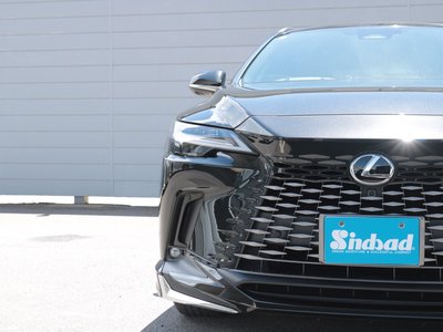 2024 Lexus RX thumbnail 25