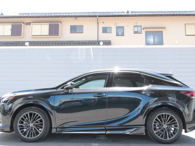 2024 Lexus RX thumbnail 21