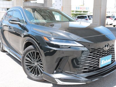 2024 Lexus RX thumbnail 23