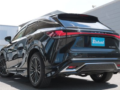 2024 Lexus RX thumbnail 29
