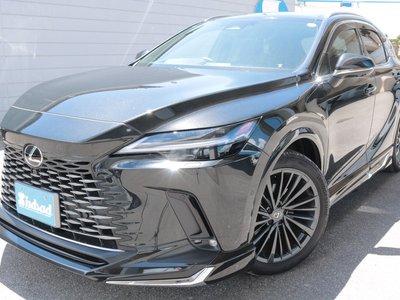 2024 Lexus RX thumbnail 27