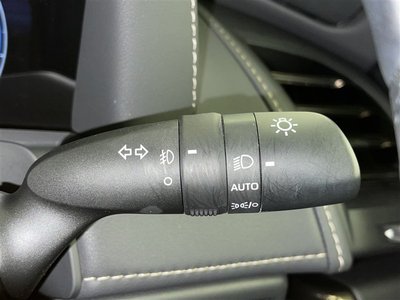 2024 Toyota ALPHARD 照片 20
