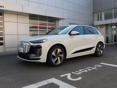 صورة 63 لـ 2025 AUDI Q6 E-TRON