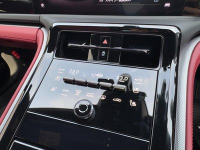 2025 Porsche PANAMERA 缩略图 31