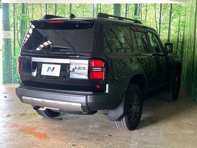 2025 Toyota LAND CRUISER 250 照片 12