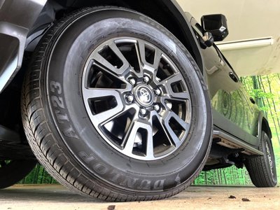 2025 Toyota LAND CRUISER 250 照片 23