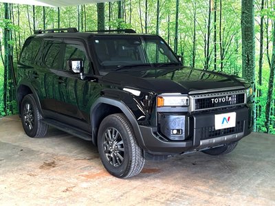 2025 Toyota LAND CRUISER 250 照片 11