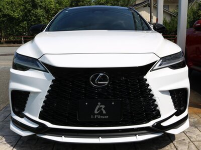 صورة مصغرة 10 لـ 2024 Lexus RX