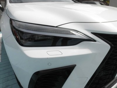 2025 Lexus NX photo 10