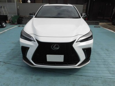 2025 Lexus NX photo 1