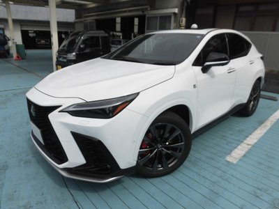 2025 Lexus NX photo 2