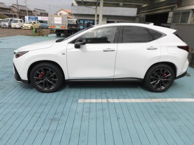 2025 Lexus NX photo 5