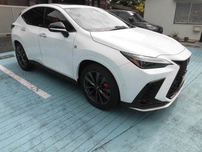 2025 Lexus NX photo 3