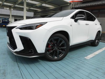 2025 Lexus NX photo 9