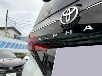 2025 Toyota ALPHARD 照片 53