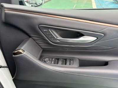 2025 Toyota ALPHARD 照片 37